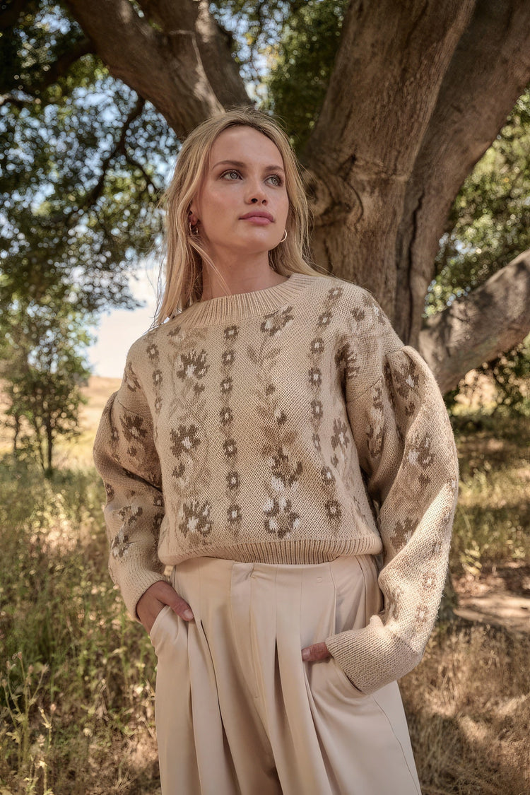 Sweaters & Cardigans