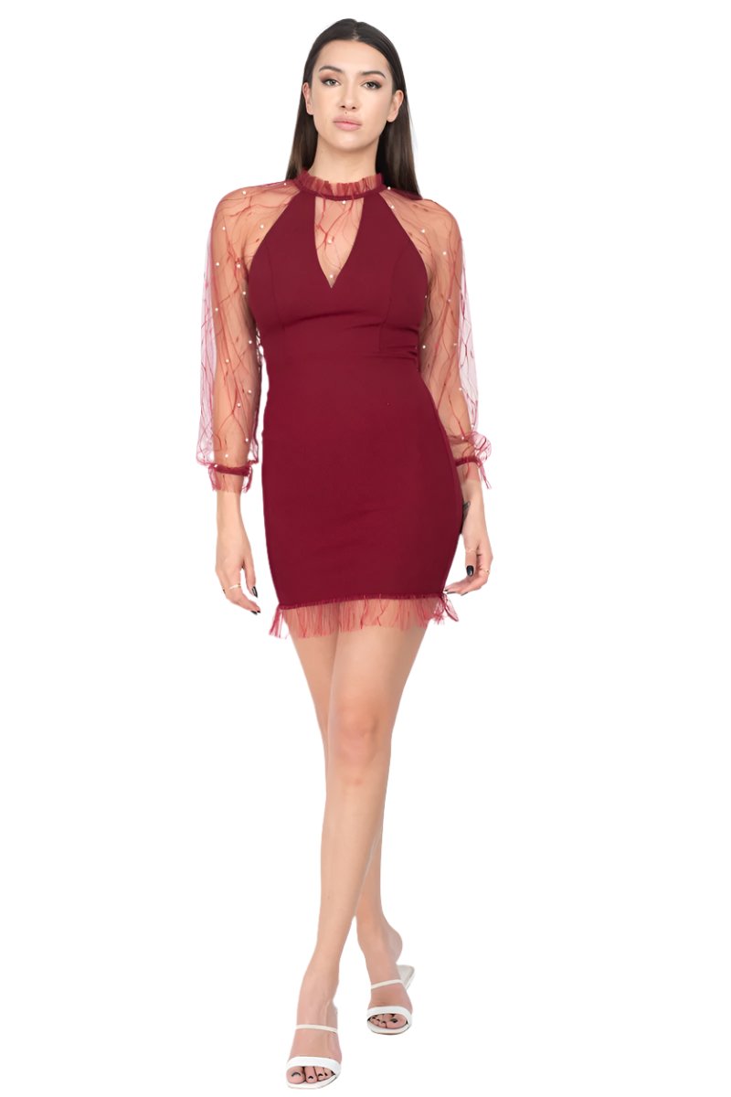 Pearl Trim Mesh Bodycon Dress